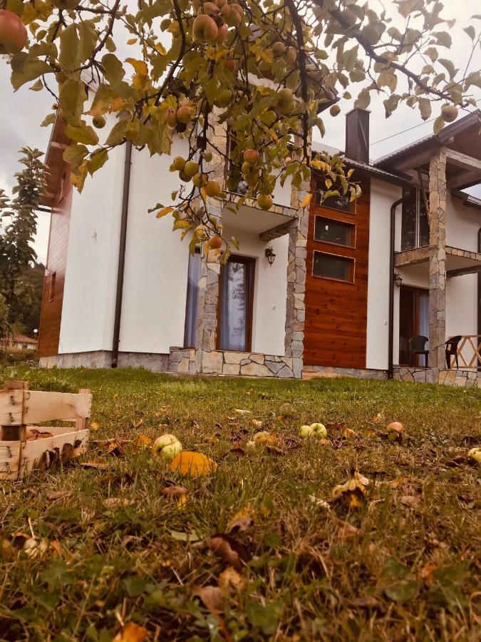 Vila Montenegrina Kolašin Екстериор снимка